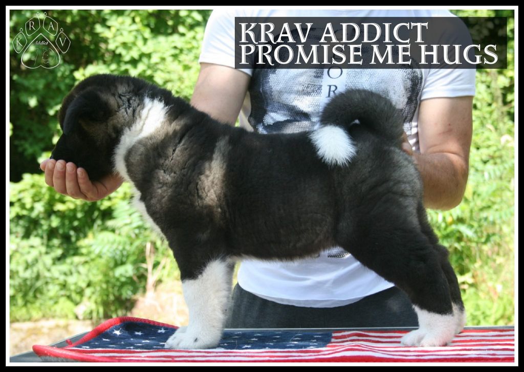 Krav Addict Promise me hugs