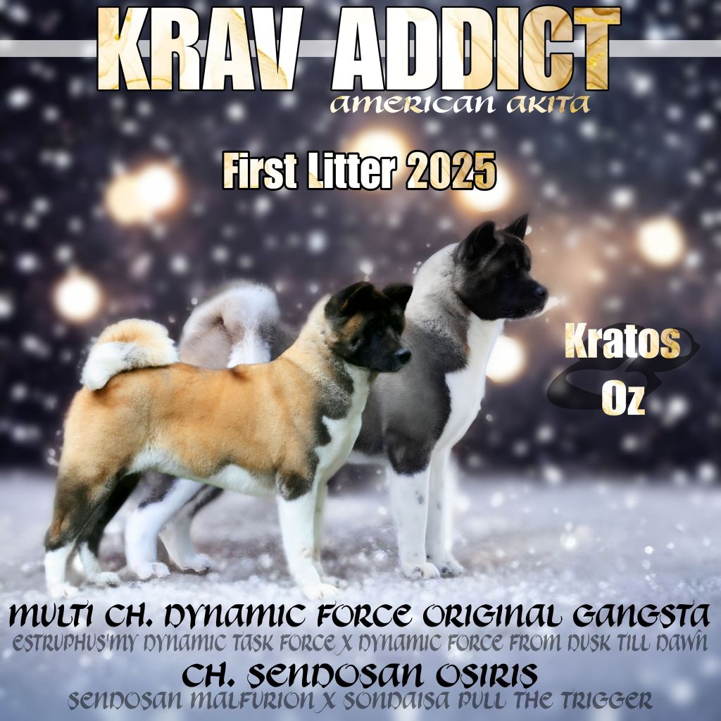 Krav Addict - CONFIRMATION DE GESTATION