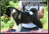 KRAV Addict Promise Me Hugs (F1)