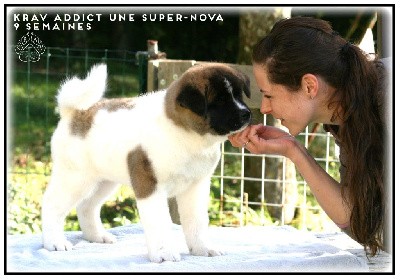 KRAV ADDICT UNE SUPER-NOVA