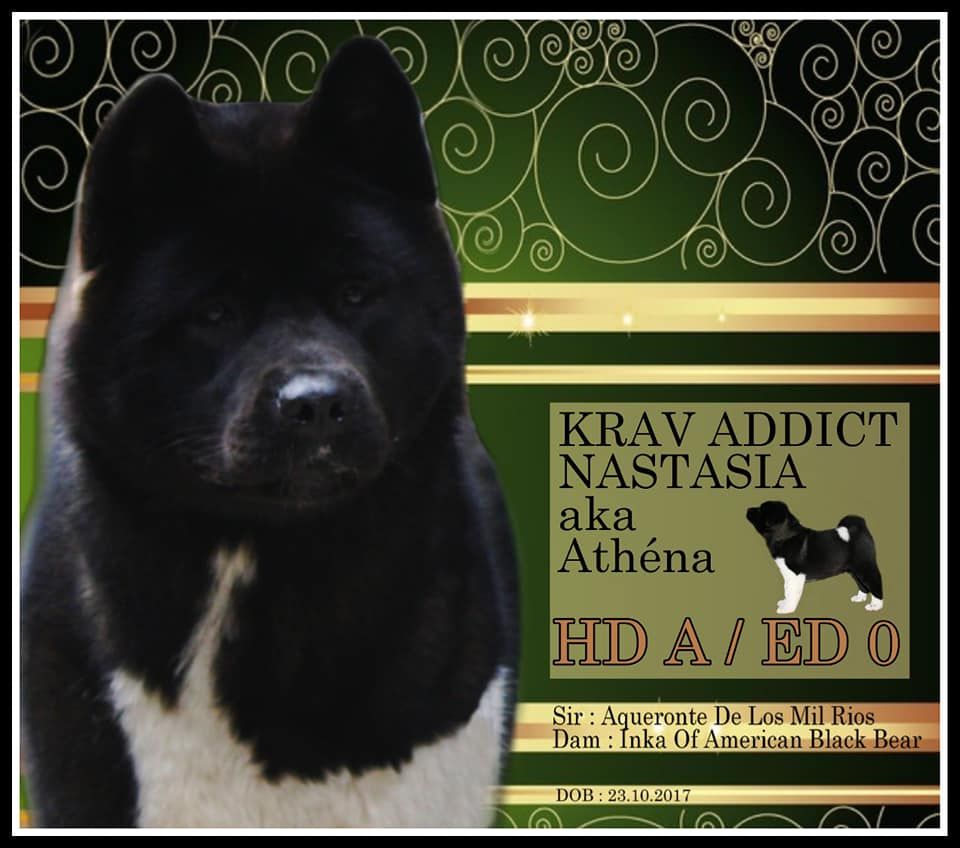 Krav Addict Nastasia