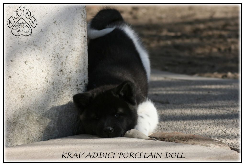 Krav Addict Porcelain doll