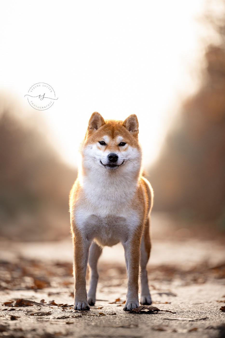 Hoxakam Vaya meet kravaddict