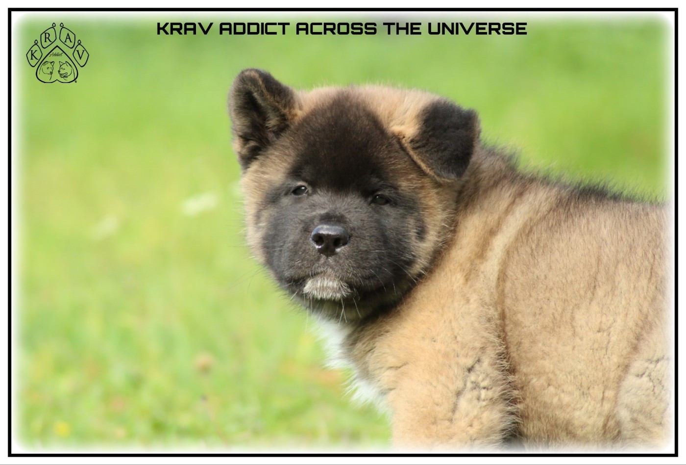 Krav Addict ACROSS THE UNIVERSE