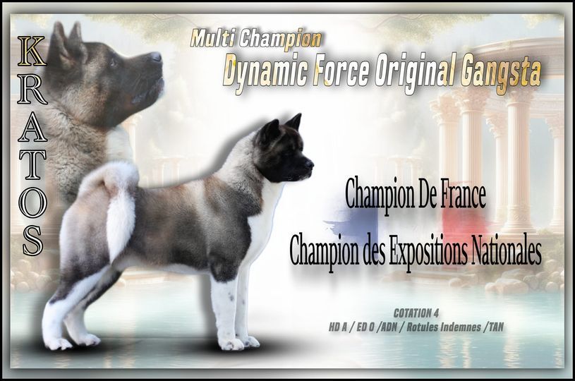 DEUX TITRES DE CHAMPIONS POUR KRATOS