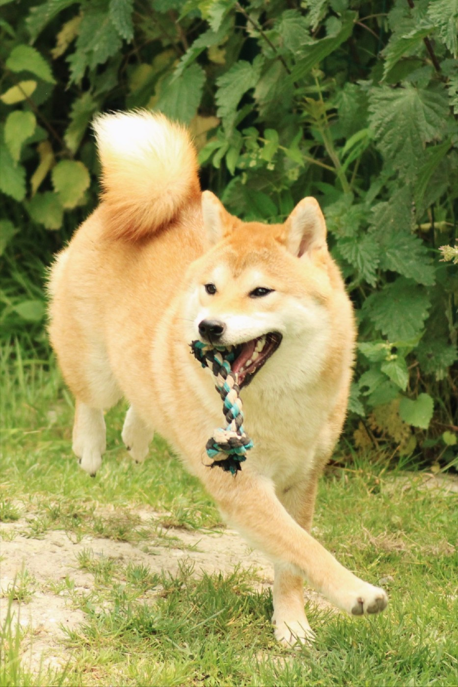 Vaya, bientôt confirmée