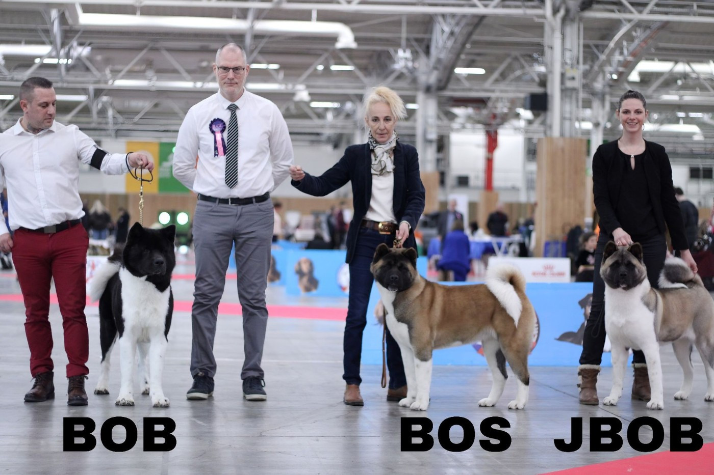 Un superbe triplé pour la première exposition de l'année