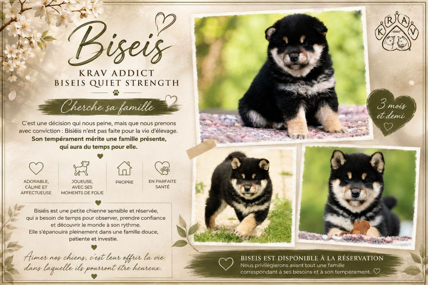 Briséis cherche sa famille
