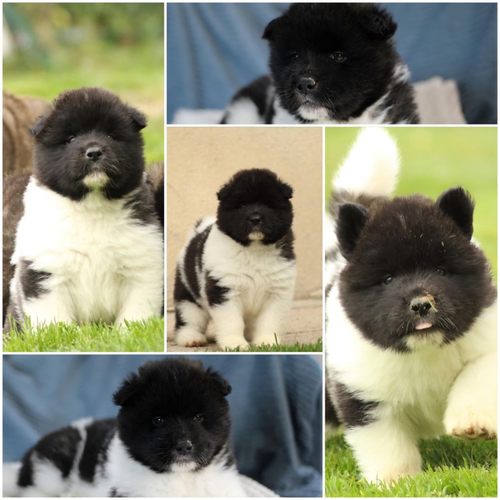 Milky Way recherche sa famille !