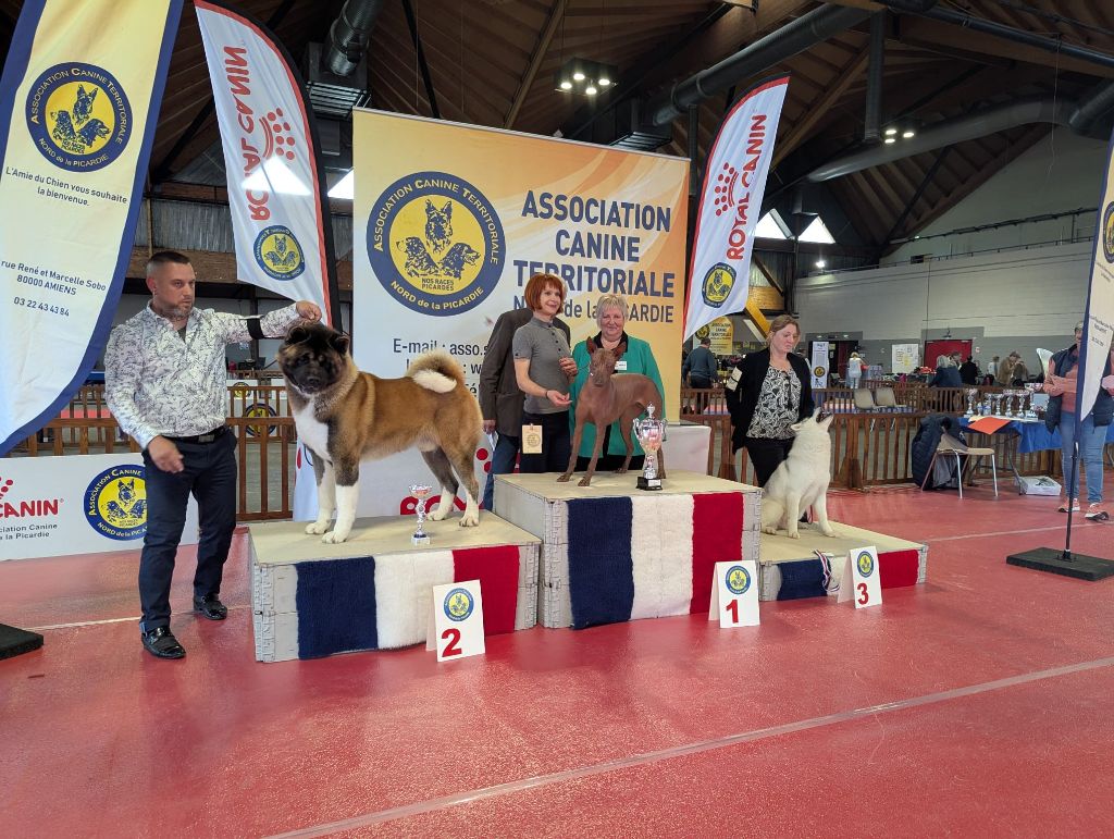 Krav Addict - Retour en force en expo pour Seth