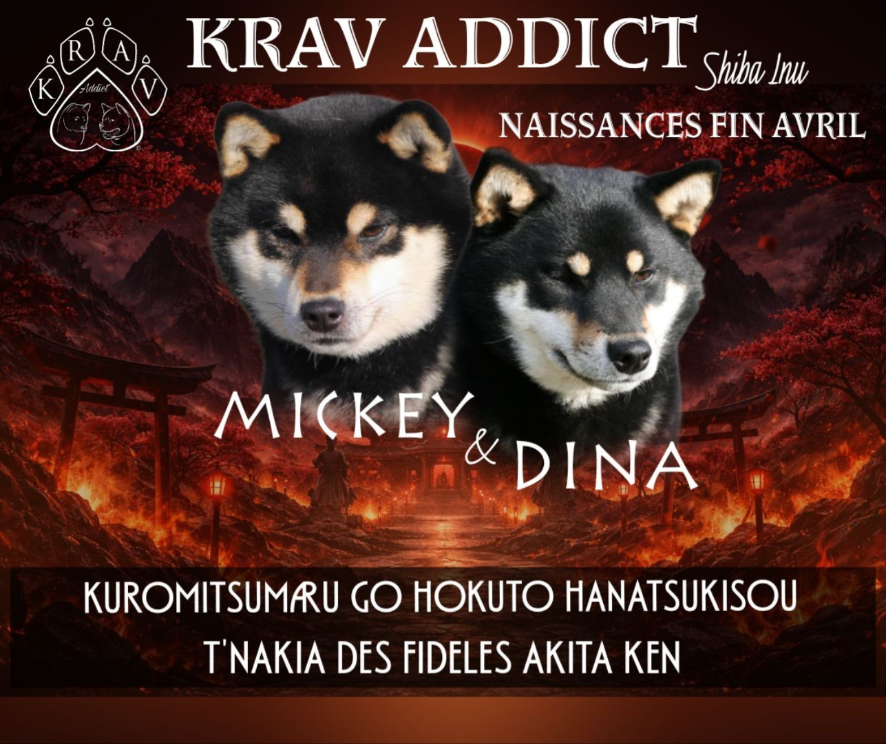 Dina x Mickey 27.04.2026