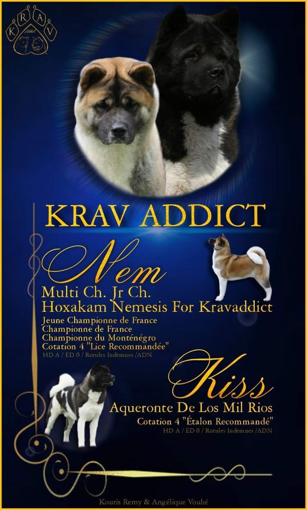 Nem x Kiss 26/08/2021