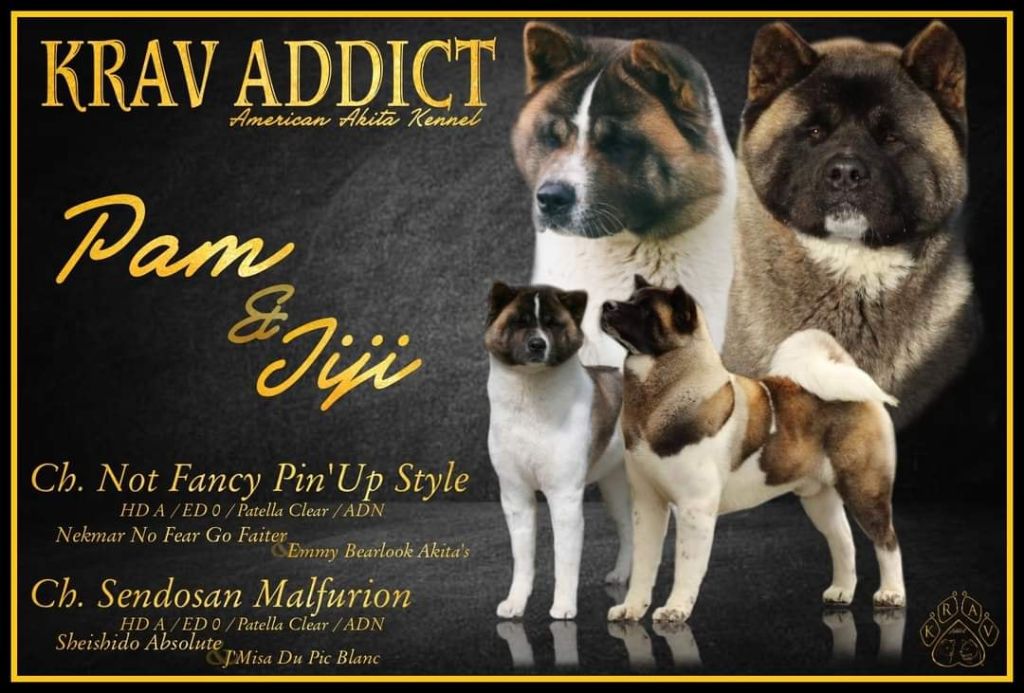 Pam x Jiji 26/02/2022