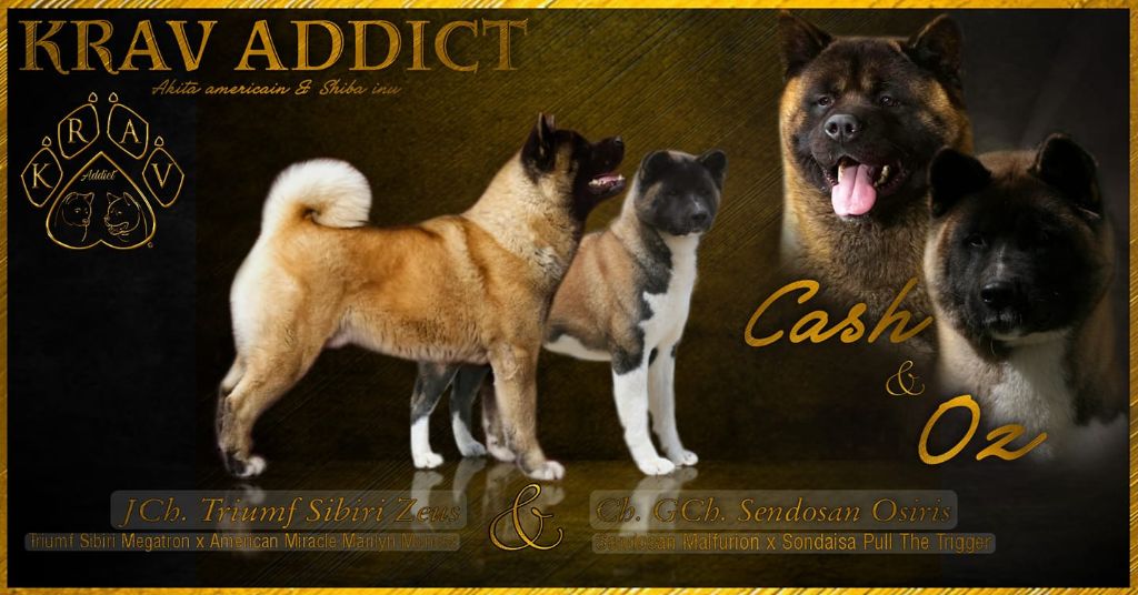 Oz x Cash 29/08/2021