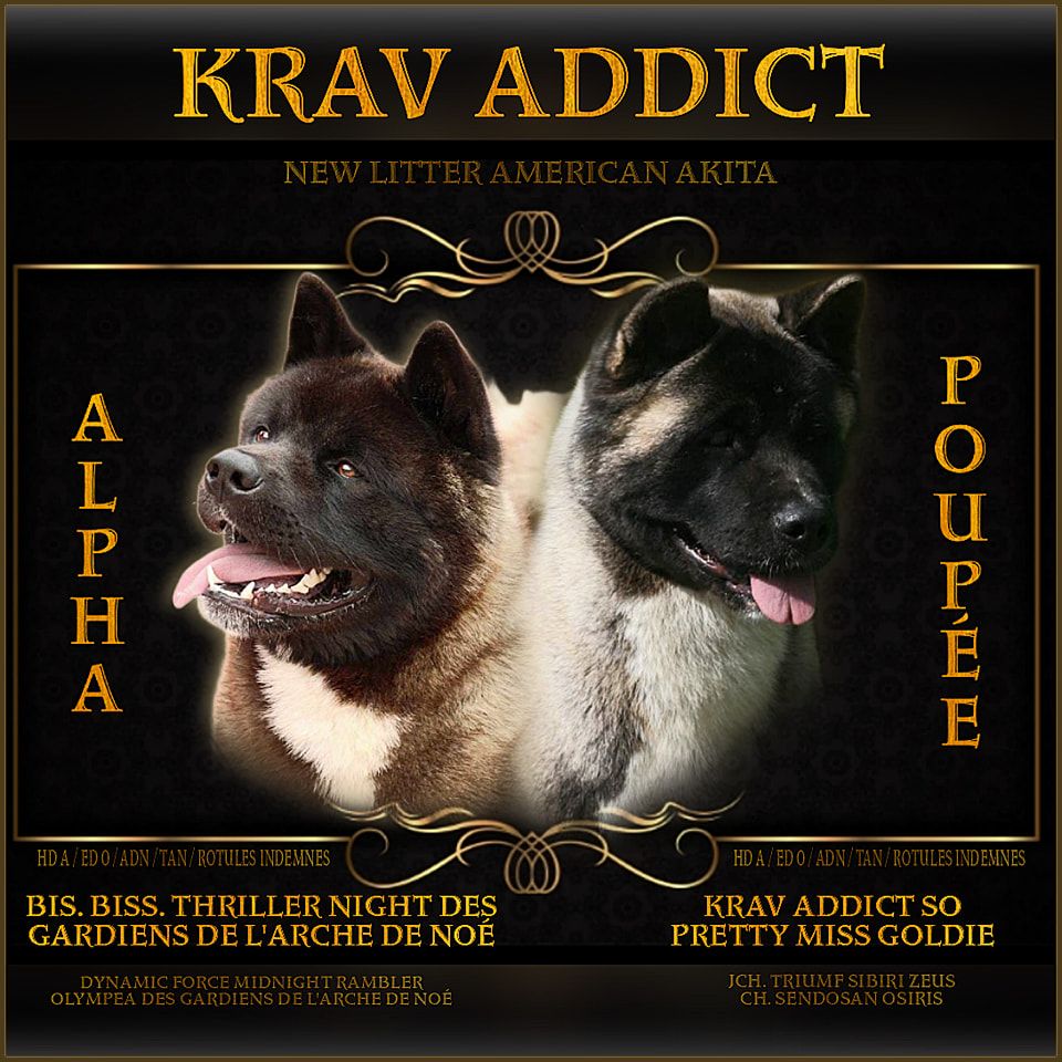 Poupée x Alpha 17/08/2023