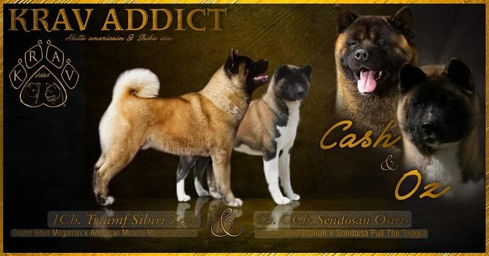 Oz x Cash 26/11/2022