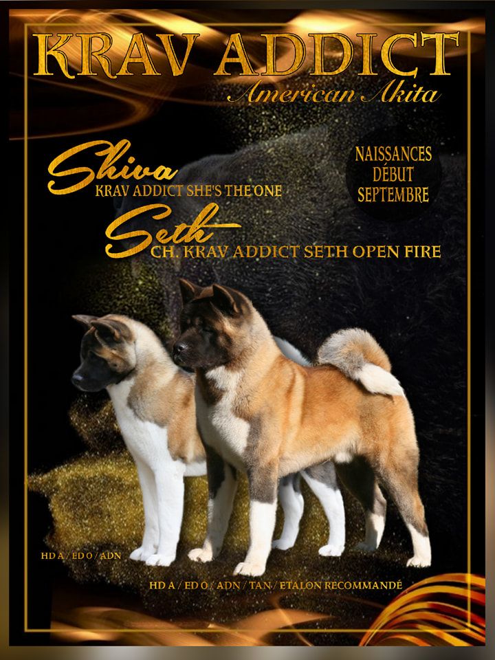 Shiva x Seth 01.09.2023